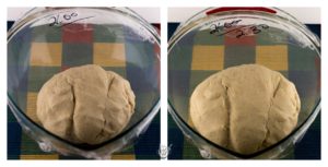 Semlor bun dough prior and after rise.