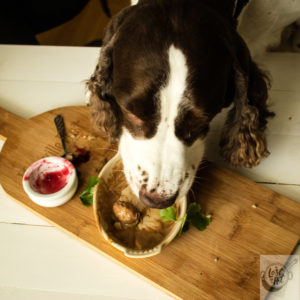 Chloe the taster at work. Chloe the taster at work.