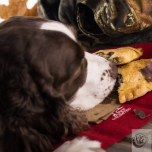Chloe dog chowing down on the Pasties.