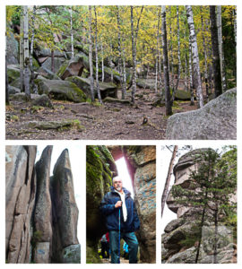 A collage of images from my hike in the Siberian hills.
