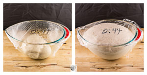 Belyashi dough on the rise. Belyashi dough on the rise.