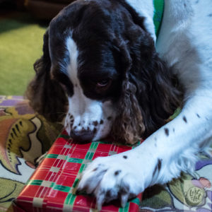 Chloe with here Christmas gift.