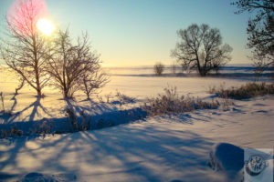 An image of a fresh Christmas snow in 2010.