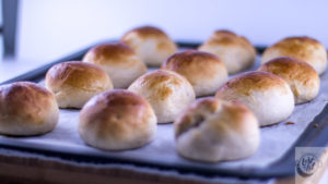 Semlor buns, fresh out of the oven.