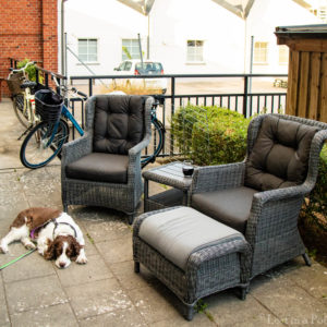 Herb'n' garden lounge chairs.