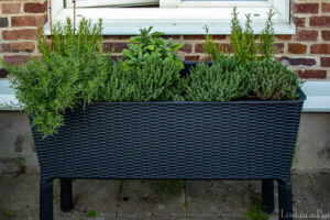 Our herb'n' garden herb box.