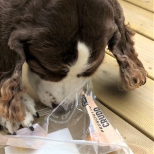 Chloe girl going for the prosciutto.