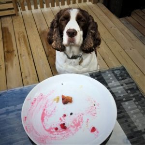Chloe looking guilty...