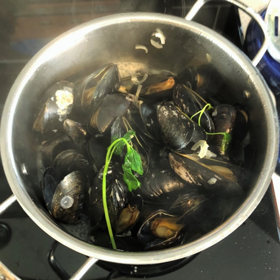 Mussels after steaming.