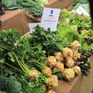 Celeriac at the market.